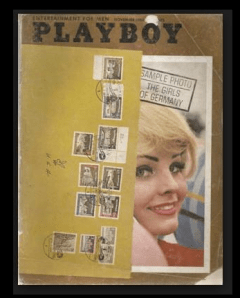 playboy.magazine