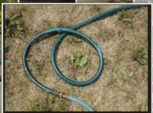 Screen shot 2014-08-20 at 2.45.55 PM