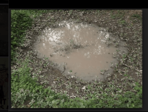 Screen shot 2014-08-30 at 7.03.58 AM